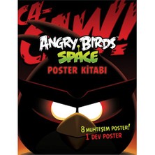 Angry Birds Space - Poster Kitabı