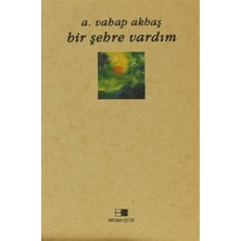 Bir Şehre Vardım