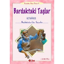 Bardaktaki Taşlar