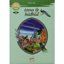 Tavus ile Hüdhüd
