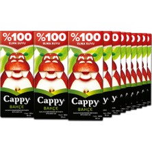 Cappy Elmalı 200 ml Tetra 27'li