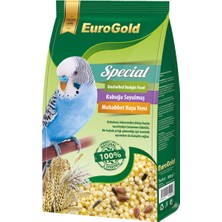 Eurogold  Specıal Kabuksuz Muhabbet Kuşu Yemi 500Gr