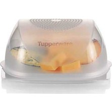 Tupperware Orta Peynir Dünyası ( Peynir Saklama Kabı )