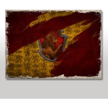 Cakasepetim Ahşap Tablo Harry Potter Gryffindor Bayrak Renkli Zemin
