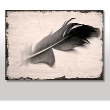Cakasepetim Ahşap Tablo Siyah Kuş Tüyü