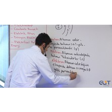 Elit Eğitim Lise 10.Sınıf Fizik Görüntülü Eğitim Seti