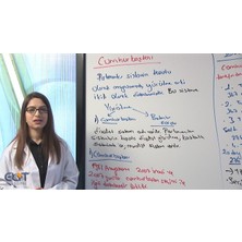 Elit Eğitim Kpss Vatandaşlık Görüntülü Eğitim Seti