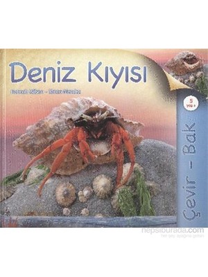 Çevir Bak Deniz Kıyısı-Simon Mendez