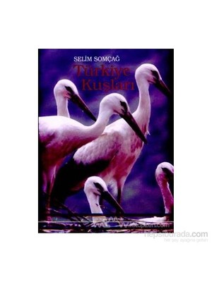 Türkiye Kuşları (Ciltli)-Selim Somçağ