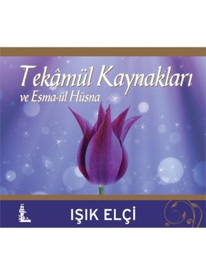 TEKÂMÜL KAYNAKLARI VE ESMA-ÜL HÜSNA