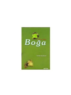 Boğa Burcu