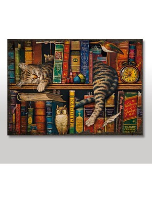 Cakasepetim Ahşap Tablo Kitaplık Baykuş Kedi