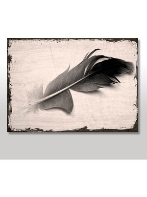 Cakasepetim Ahşap Tablo Siyah Kuş Tüyü