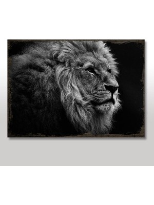 Cakasepetim Ahşap Tablo Gri Yaşlı Aslan