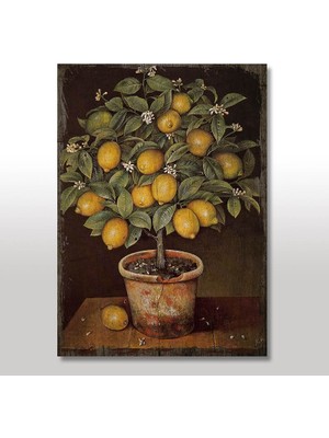 Tablomega Ahşap Tablo Saksıda Limon Ağacı Resmi