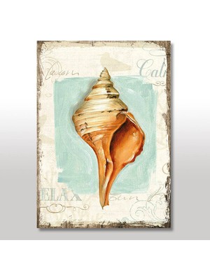 Cakasepetim Ahşap Tablo Deniz Kabuğu Tasarım Baskılı