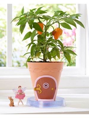My Fairy Garden Peri Çiçek Saksısı