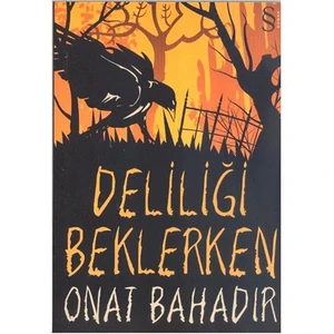 Deliliği Beklerken - Onat Bahadır