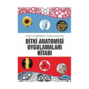 Bitki Anatomisi ve Uygulamaları Kitabıı - İlkay Öztürk Çalı