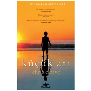 Küçük Arı - Chris Cleave