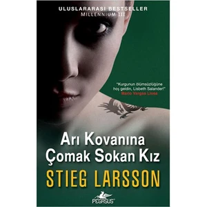 Arı Kovanına Çomak Sokan Kız - Stieg Larsson
