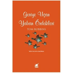 Geriye Uçan Yaban Ördekleri