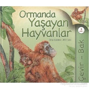 Çevir Bak Ormanda Yaşayan Hayvanlar-Nicki Palin