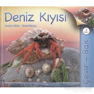 Çevir Bak Deniz Kıyısı-Simon Mendez
