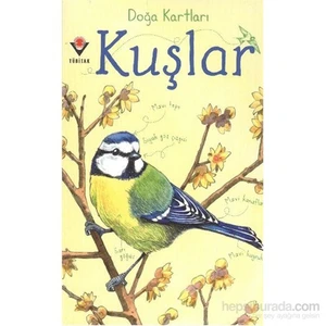 Doğa Kartları Kuşlar - Emily Bon