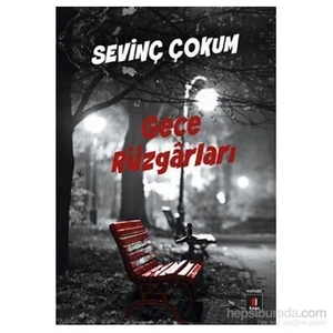 Gece Rüzgarları - Sevinç Çokum