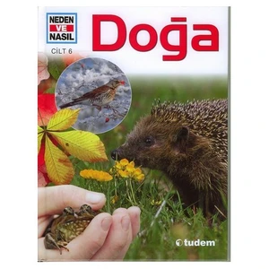 NEDEN VE NASIL DOĞA