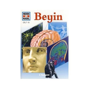 Neden Ve Nasıl Cilt 10: Beyin-Monica Röbiger