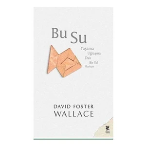 Bu Su - David Foster Wallace