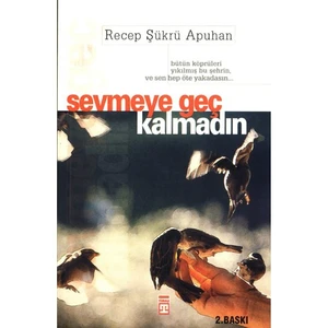 Sevmeye Geç Kalmadın - Recep Şükrü Apuhan