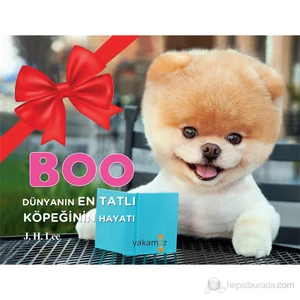 Boo - Dünyanın En Tatlı Köpeğinin Hayatı - J. H. Lee