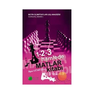 1-2-3 Hamlede Matlar Kitabı-Ilgaz Gümüştaş