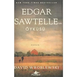 Edgar Sawtelle’nin Öyküsü - David Wroblewski