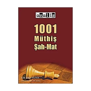 1001 Müthiş Şah Mat