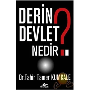Derin Devlet Nedir?