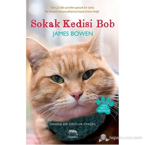 Sokak Kedisi Bob - James Bowen