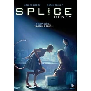 Splice (Deney)