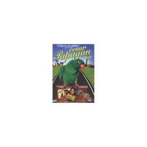 Paulie (Cesur Papağan Paulie) ( DVD )