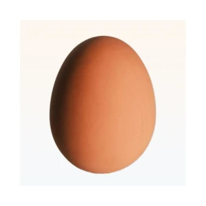 Out Of The Blue Zıplayan Yumurta - Bouncing Egg