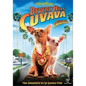 Beverly Hills Chuhuahua (Beverly Hills Çuvava)