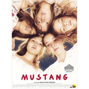 Mustang (DVD)