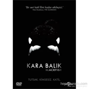 Blackfish (Kara Balık) (DVD)