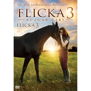 Flicka 3: Country Pride (Flicka 3: Rüzgar Gibi)