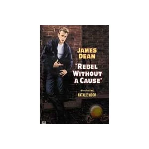 Rebel Whiteout A Cause (Asi Gençlik) ( DVD )
