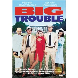 Big Trouble (Belanın Böylesi) ( DVD )