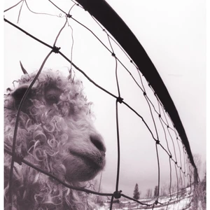 Pearl Jam - Vs. Vinly Edition (1993)